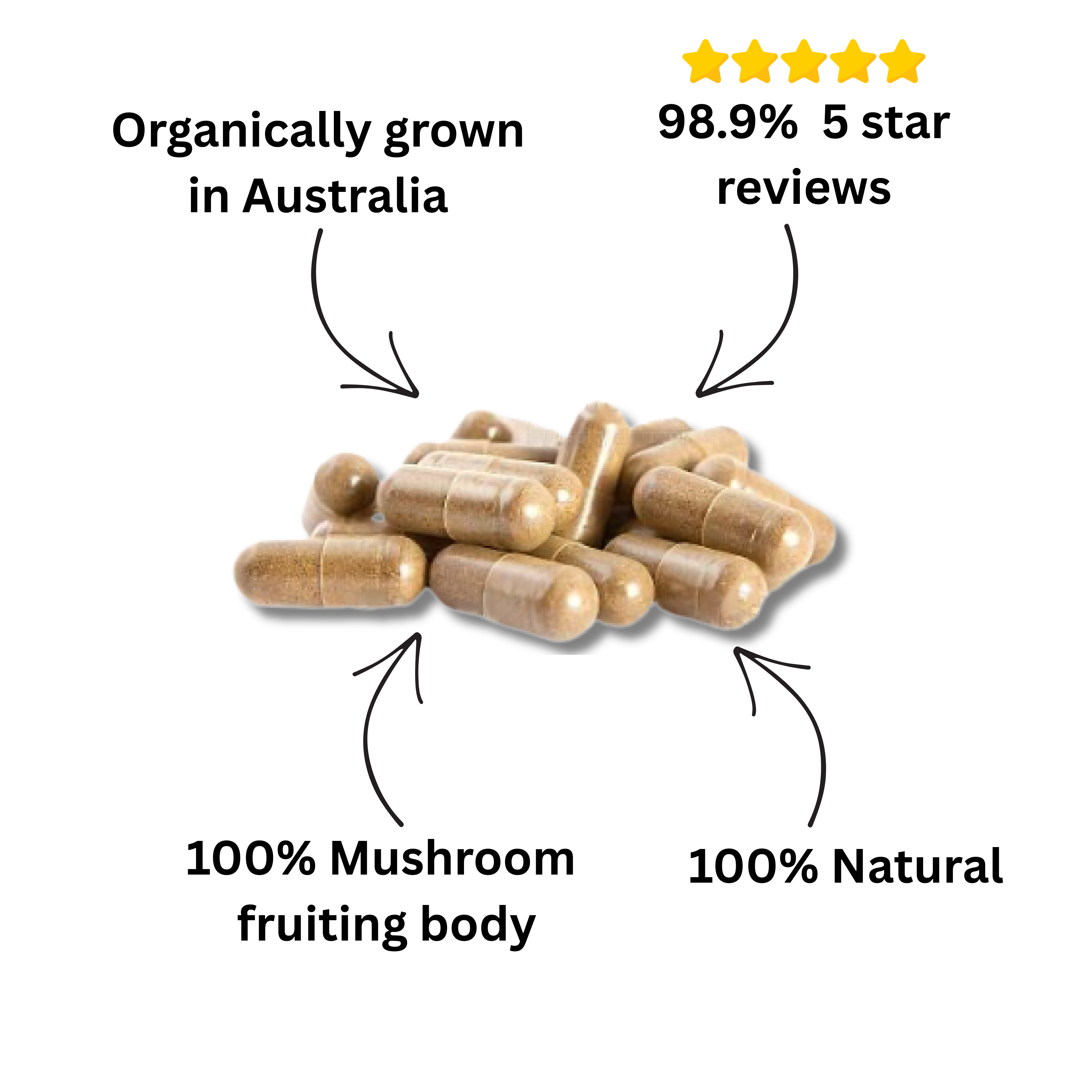 Australian Daily 3 Mushroom Blend – Lion’s Mane, Reishi & Turkey Tail