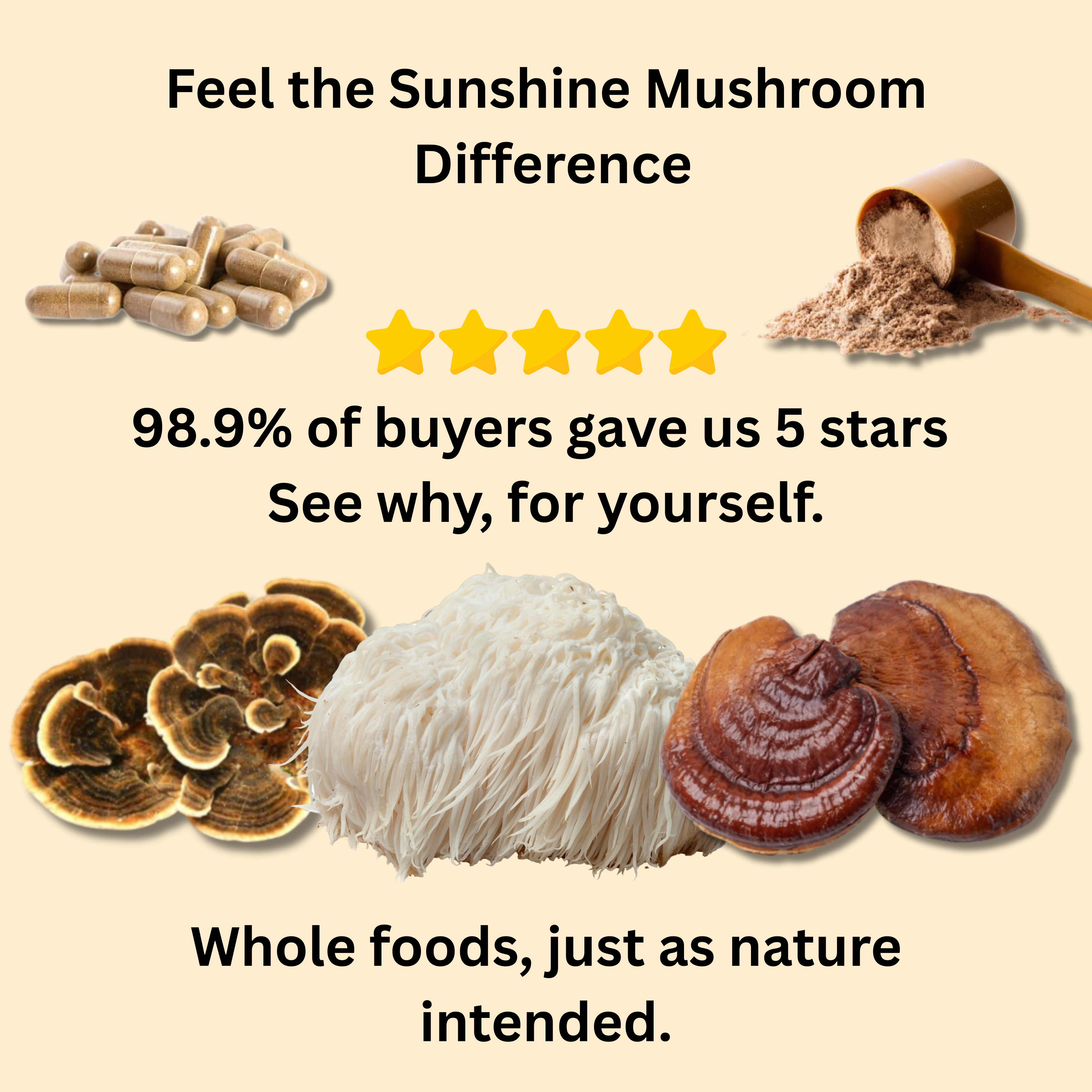 Australian Daily 3 Mushroom Blend – Lion’s Mane, Reishi & Turkey Tail