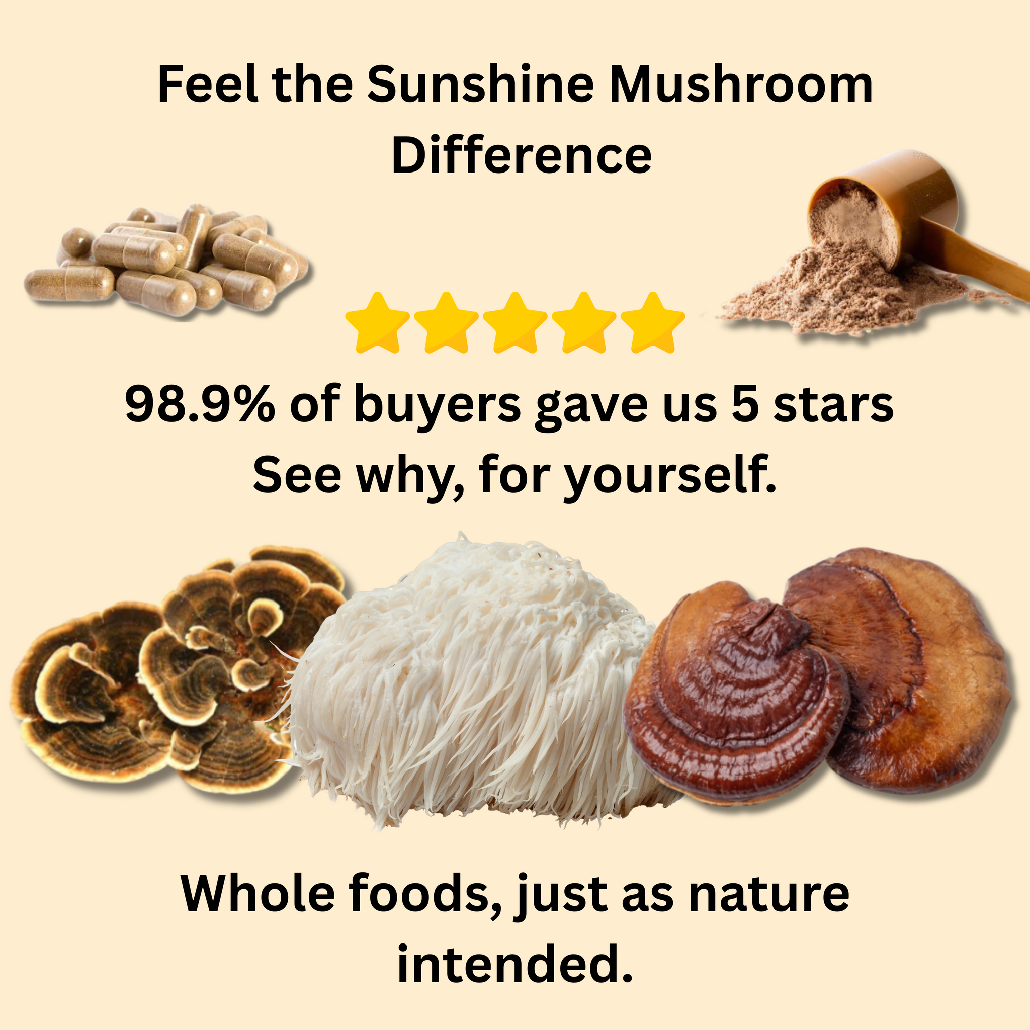 Australian Daily 3 Mushroom Blend – Lion’s Mane, Reishi & Turkey Tail