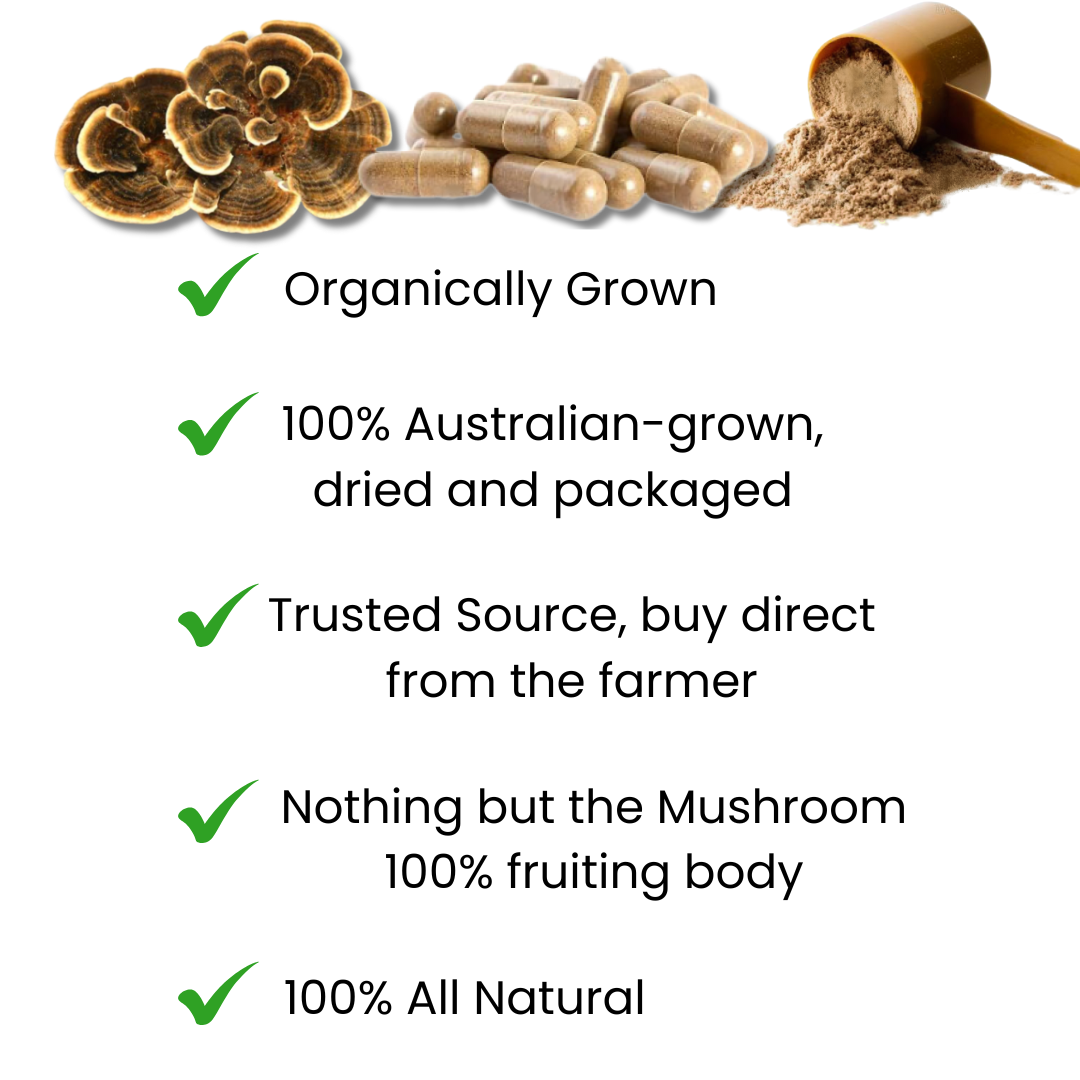 Copy of Copy of Copy of All website pics (1080 x 1080 px) (11).png__PID:15904dfa-2563-4eb6-ad1f-c93d784a2493