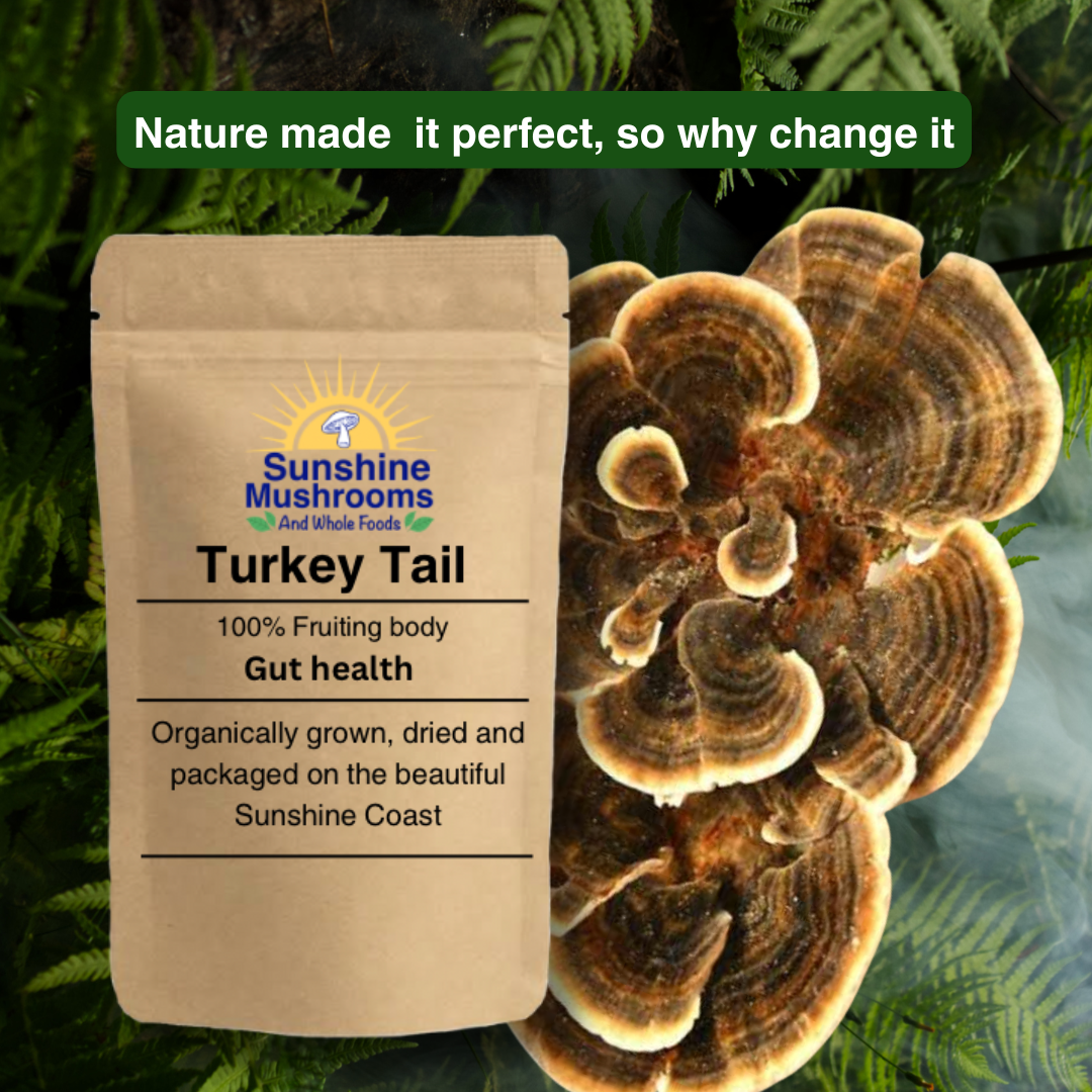 100% Organically Grown Turkey Tail Mushroom