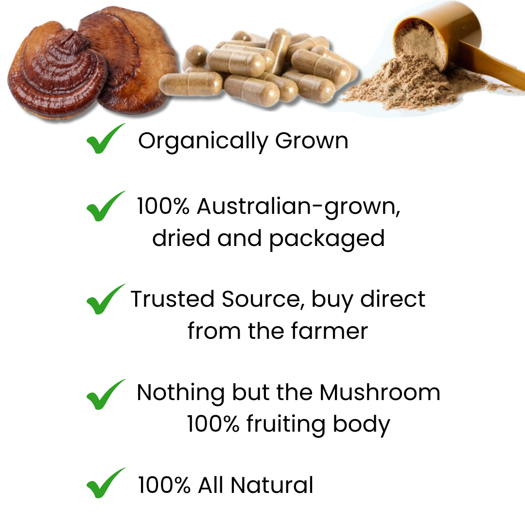 Australian Organically Grown Reishi Mushroom- 100% Fruiting Body