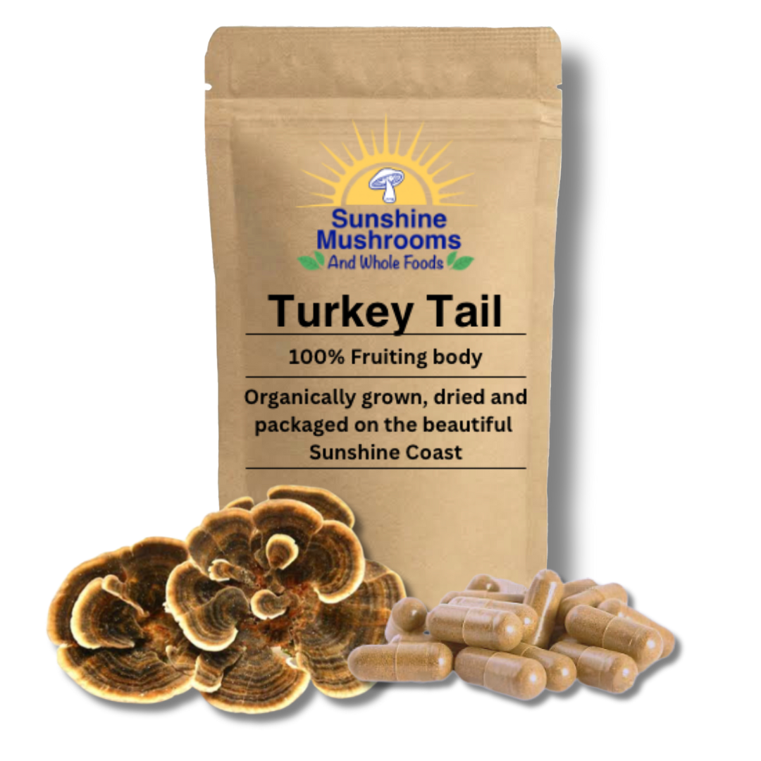 100% Organically Grown Turkey Tail Mushroom