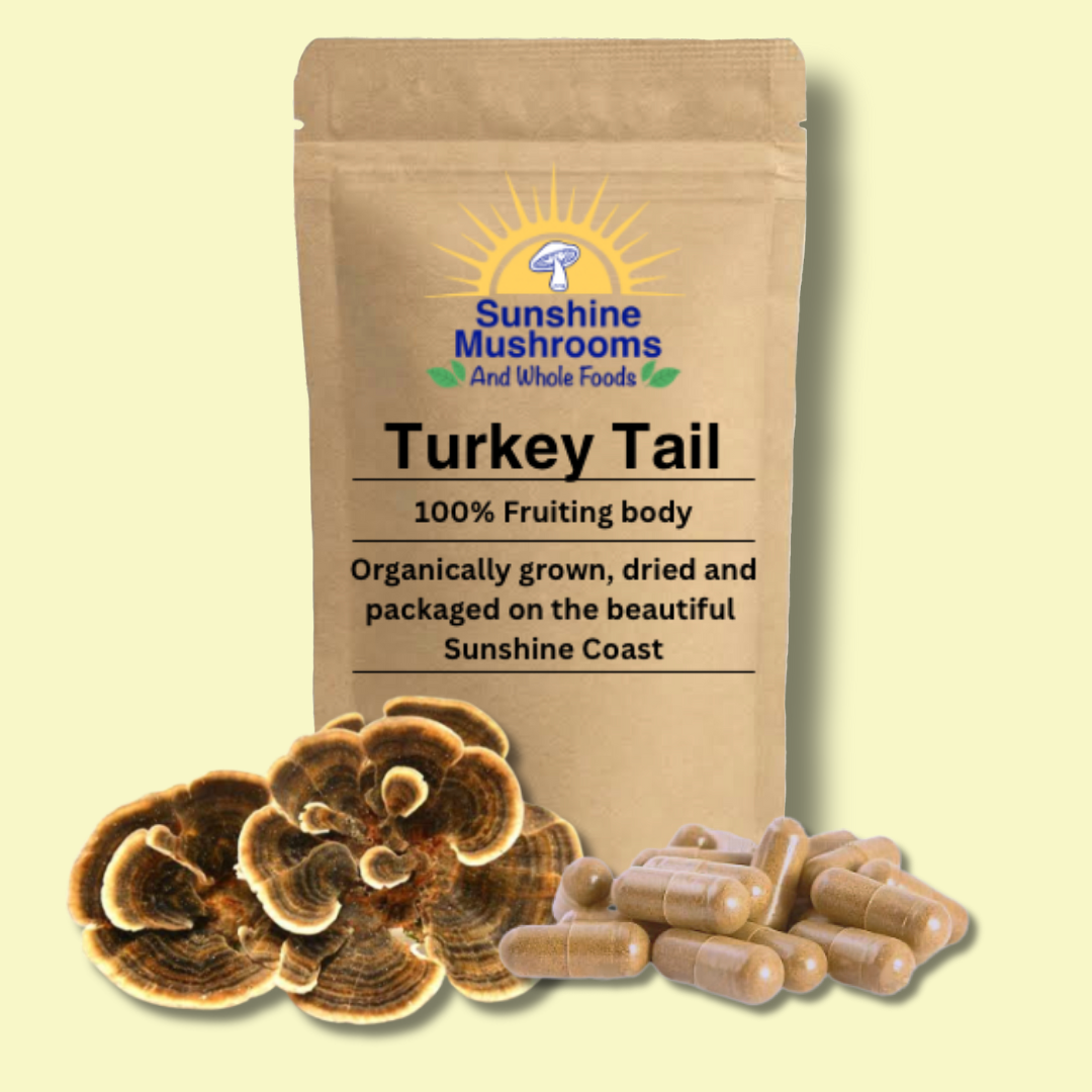 100% Organically Grown Turkey Tail Mushroom