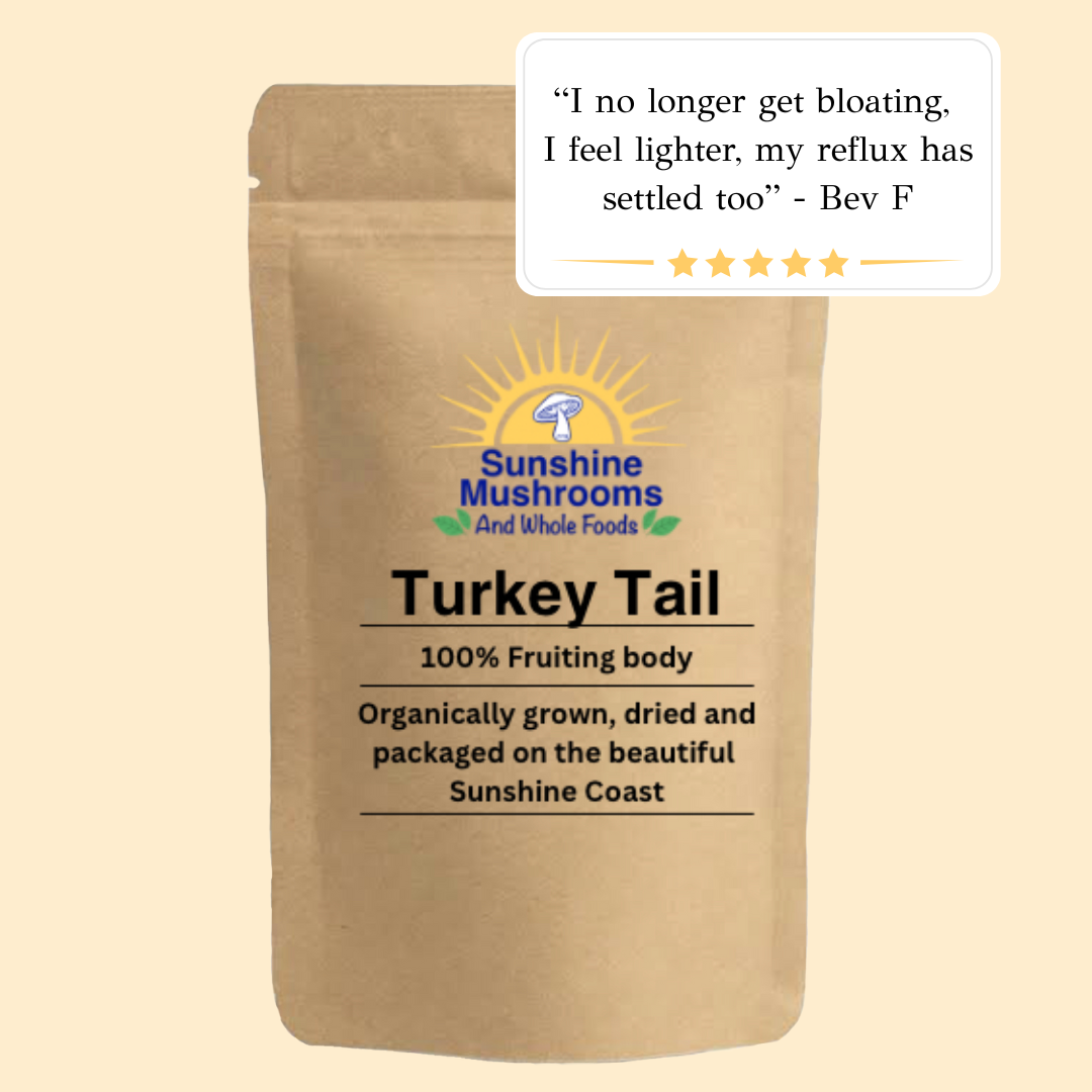 100% Organically Grown Turkey Tail Mushroom