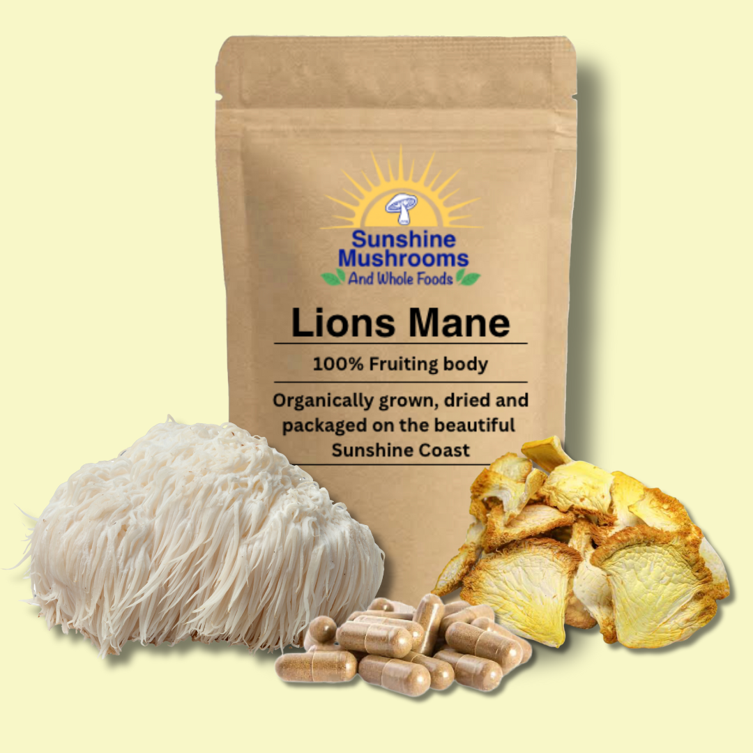 Organically grown, Australian, Dried Lions Mane Mushrooms. 100% fruiting body only