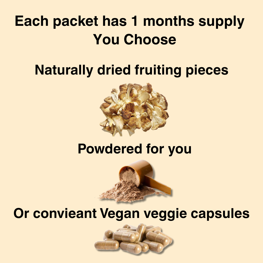 Organically grown, Australian, Dried Lions Mane Mushrooms. 100% fruiting body only