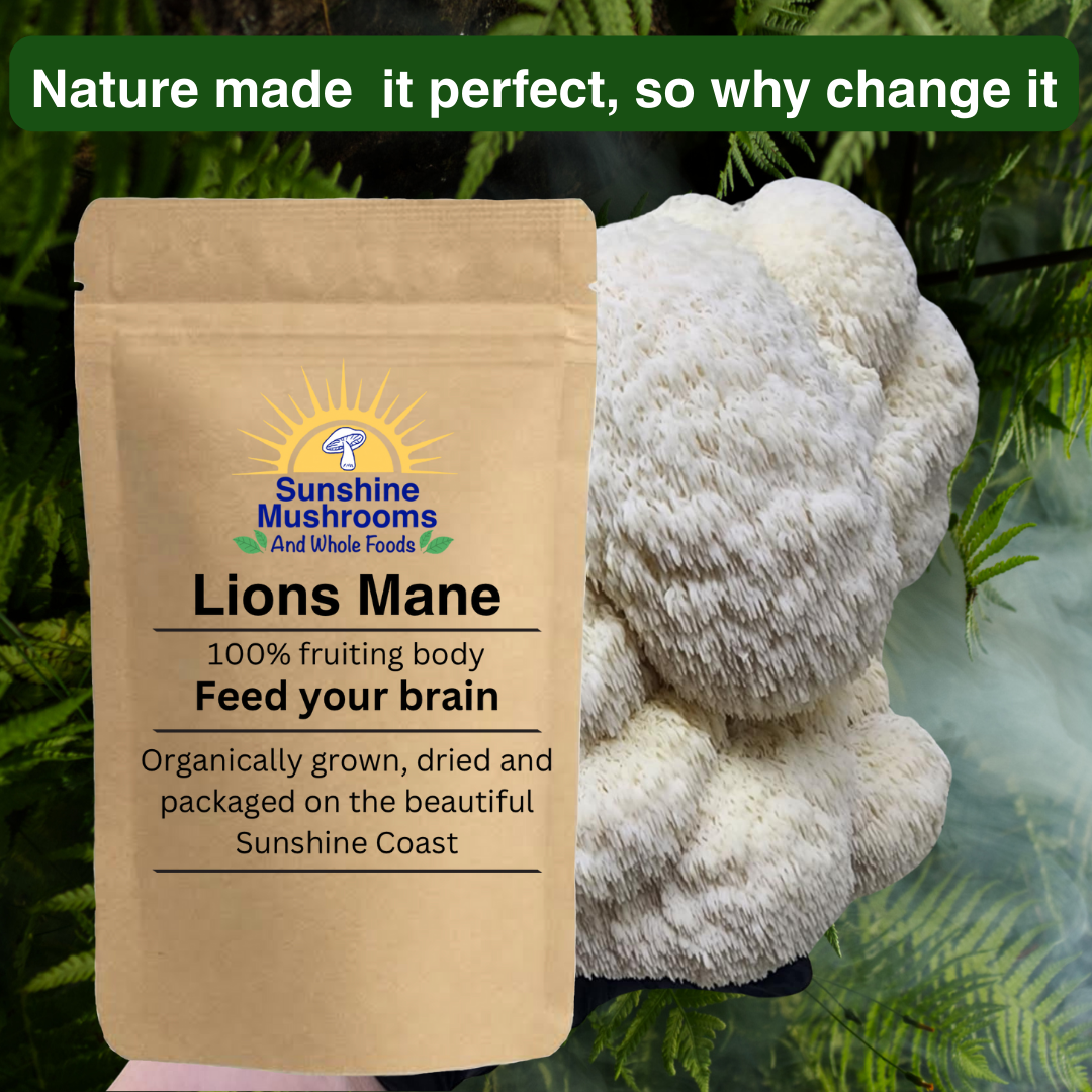 Organically grown, Australian, Dried Lions Mane Mushrooms. 100% fruiting body only
