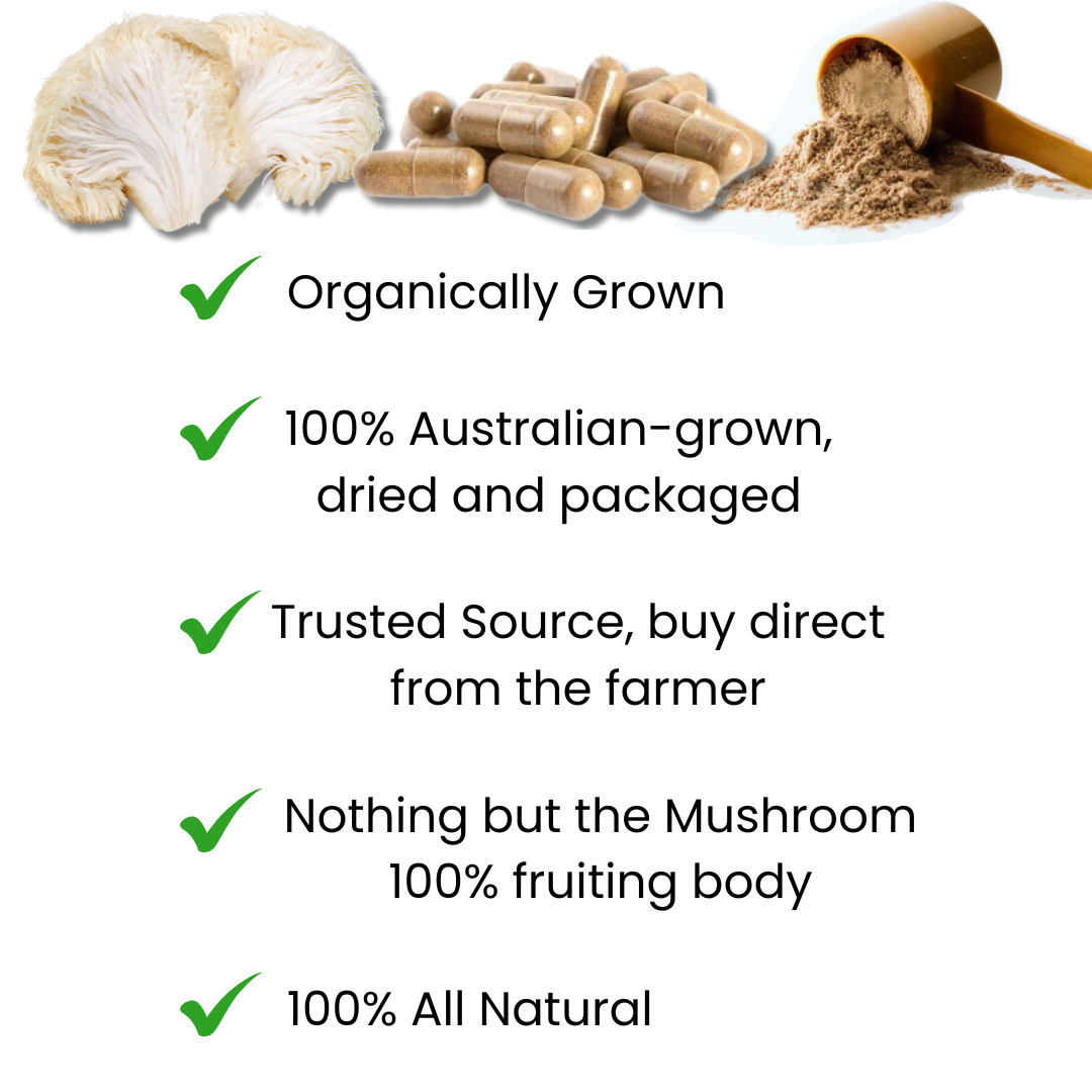 Organically grown, Australian, Dried Lions Mane Mushrooms. 100% fruiting body only