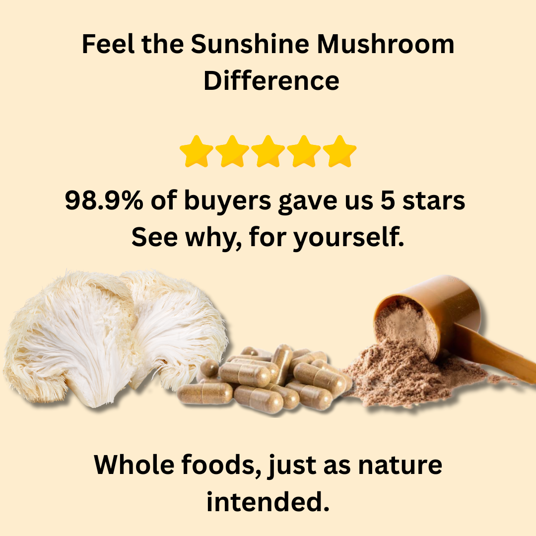 Organically grown, Australian, Dried Lions Mane Mushrooms. 100% fruiting body only